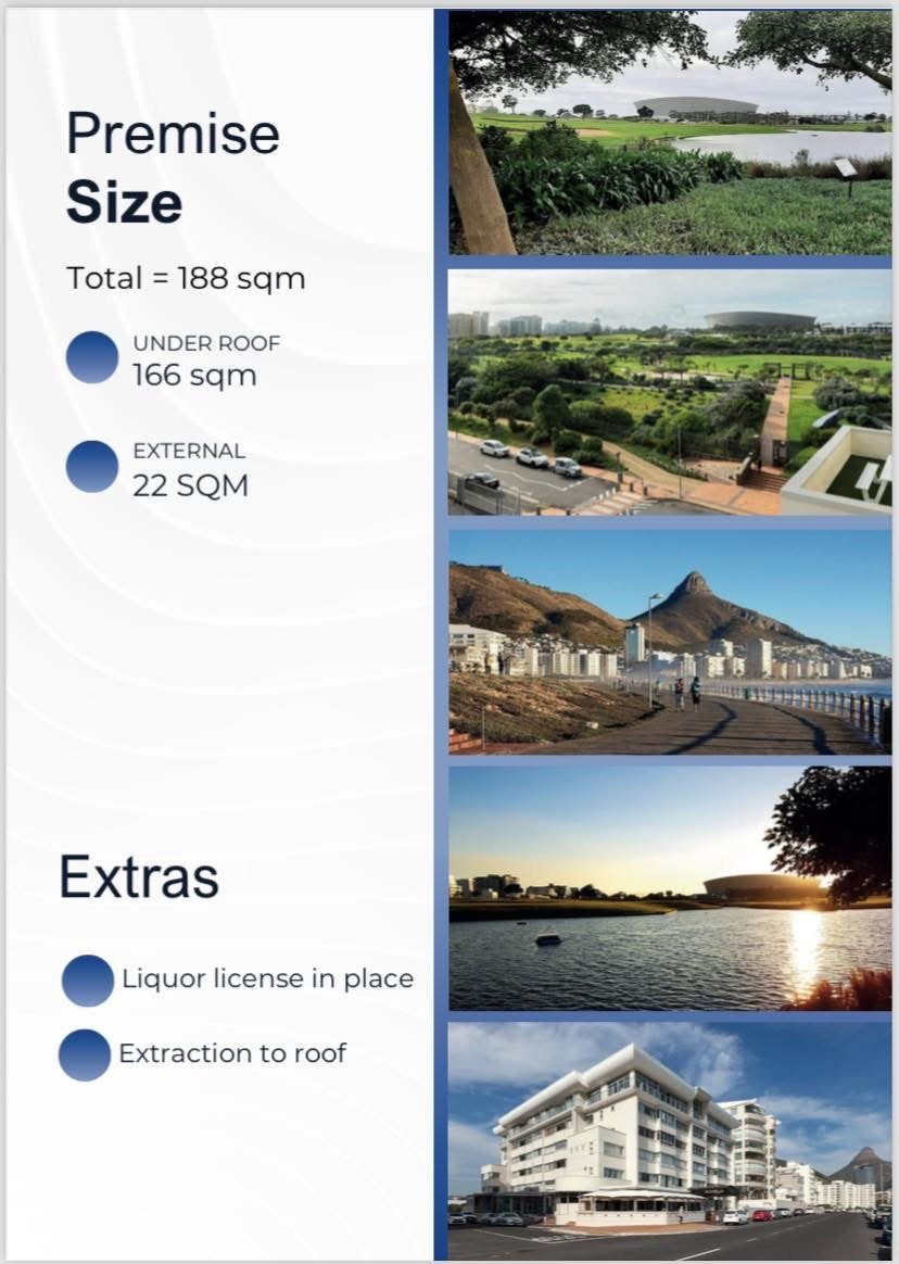 To Let commercial Property for Rent in Mouille Point Western Cape